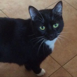 Meet your Posher, Meredith